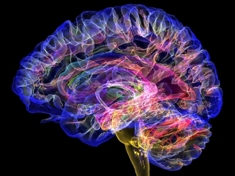浪潮av肏大脑植入物有助于严重头部损伤恢复